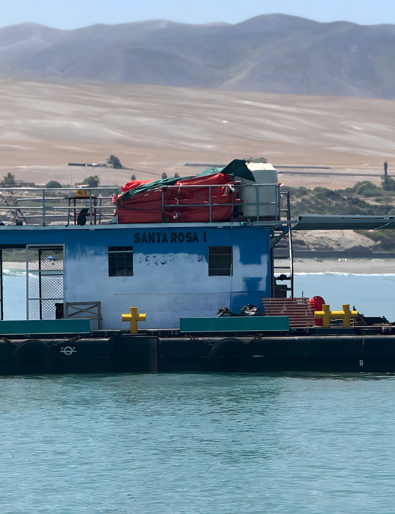 731e721600ad73e64f51172f63265c271c20011a 3 (2)